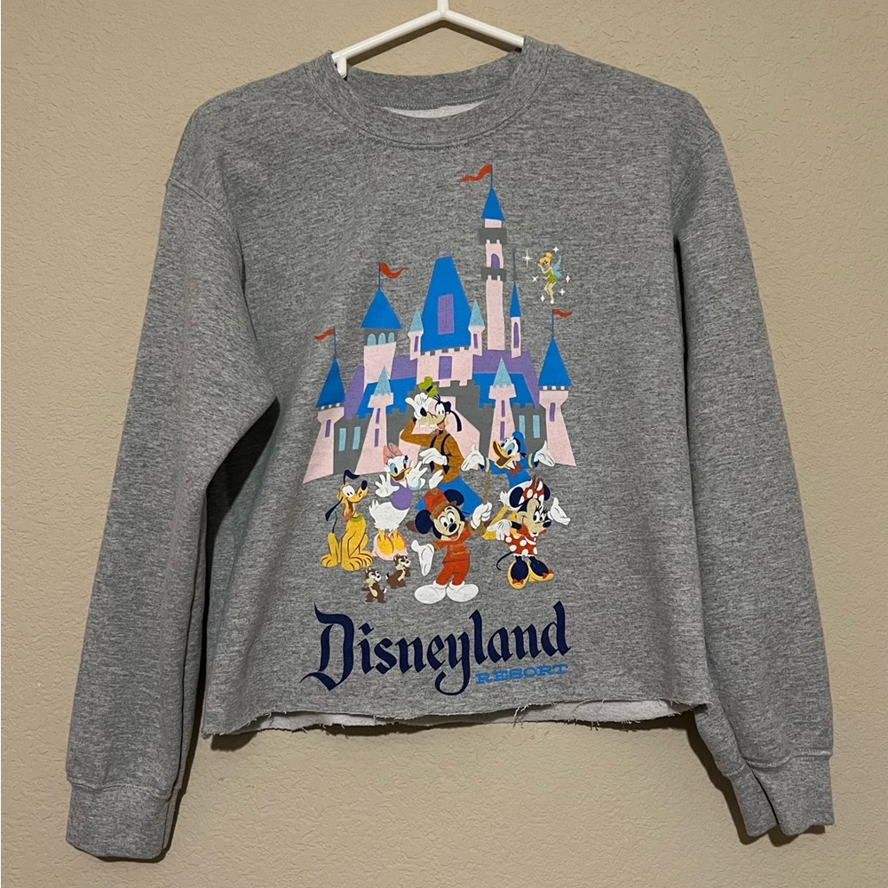 Disneyland A Small World Sweatshirt Crop Top Adult size Small Grey Funko